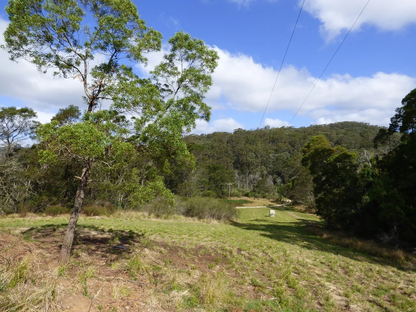 Additional image 4 of Lot 1122 Ruggs Road, Nethercote NSW 2549