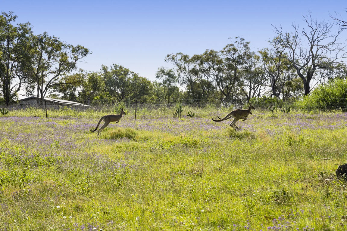 Additional image 18 of 49 Harelmar Road, Southbrook QLD 4363