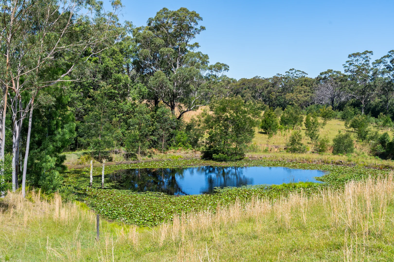 Additional image 6 of 106C Porters Creek Road, Yatte Yattah NSW 2539