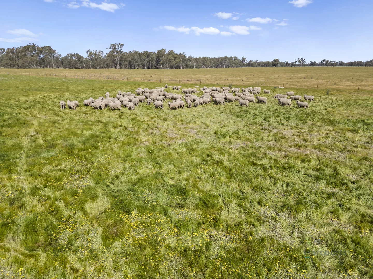 Additional image 7 of 1633 Euroa-Shepparton Road, Miepoll VIC 3666