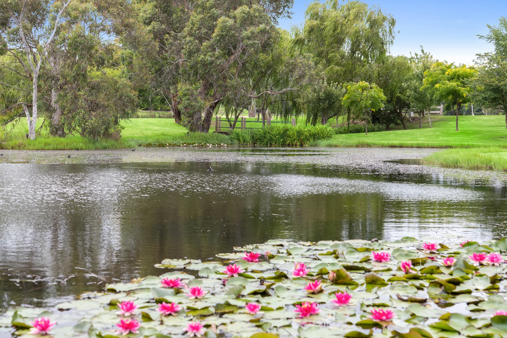 Additional image 16 of 218/218a Coolart Road, Moorooduc VIC 3933