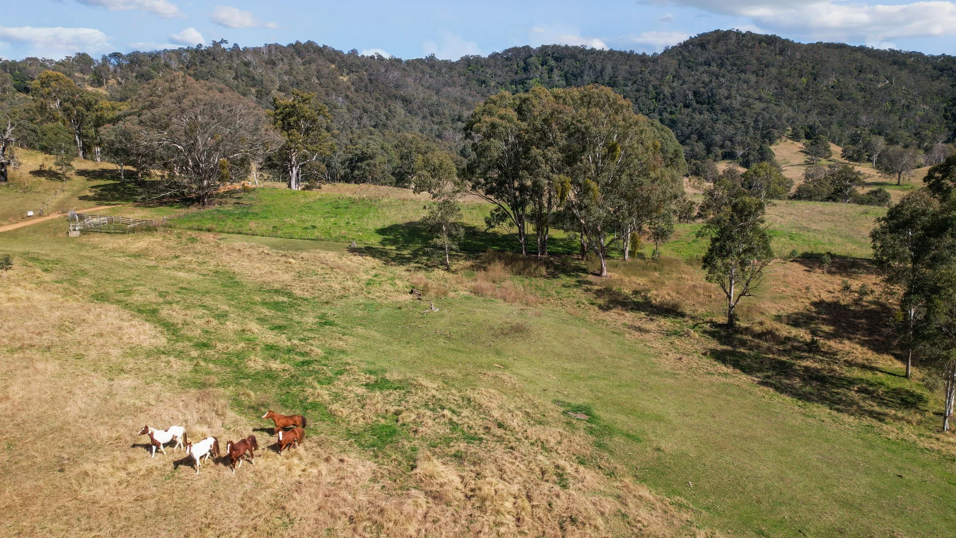 Additional image 22 of 322 Neringla Road, Braidwood NSW 2622