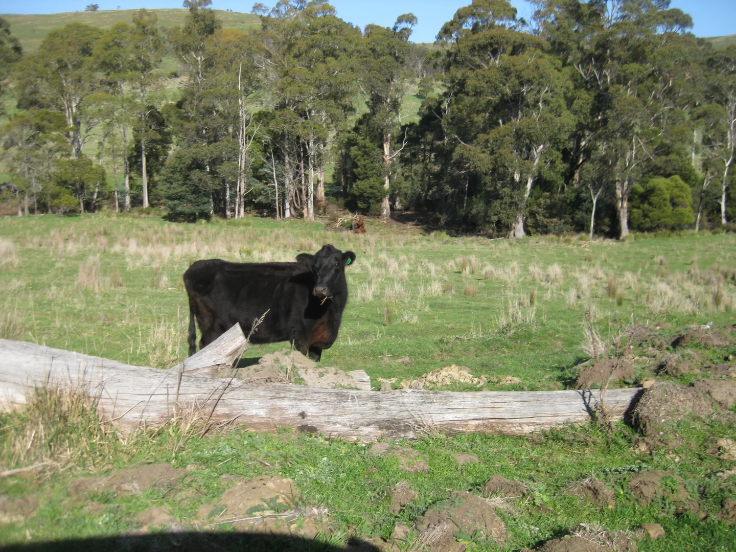 Additional image 10 of 8415 Lyell Highway, Ouse TAS 7140