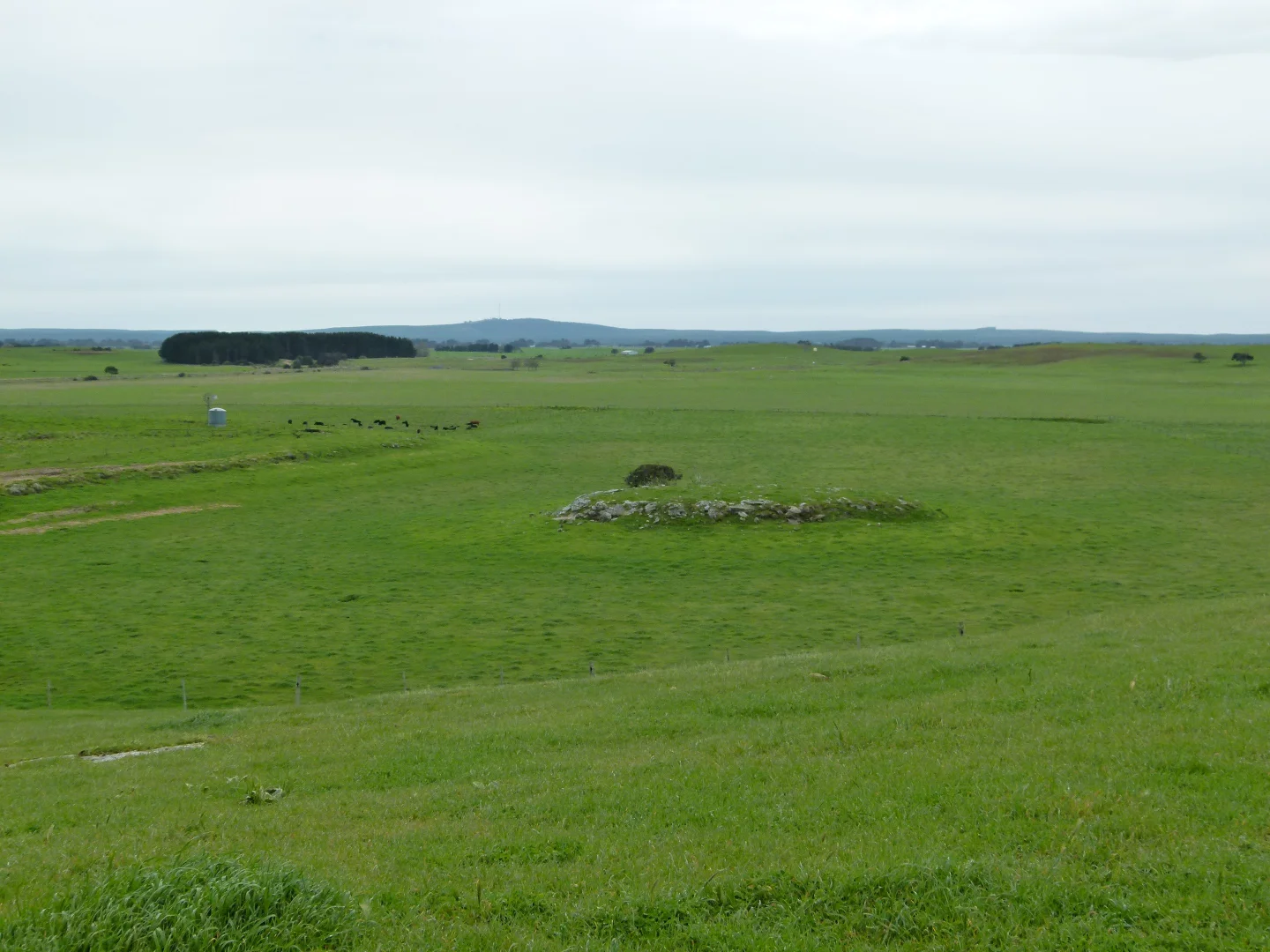 Additional image 19 of 1683 Canunda Frontage Road, Tantanoola SA 5280