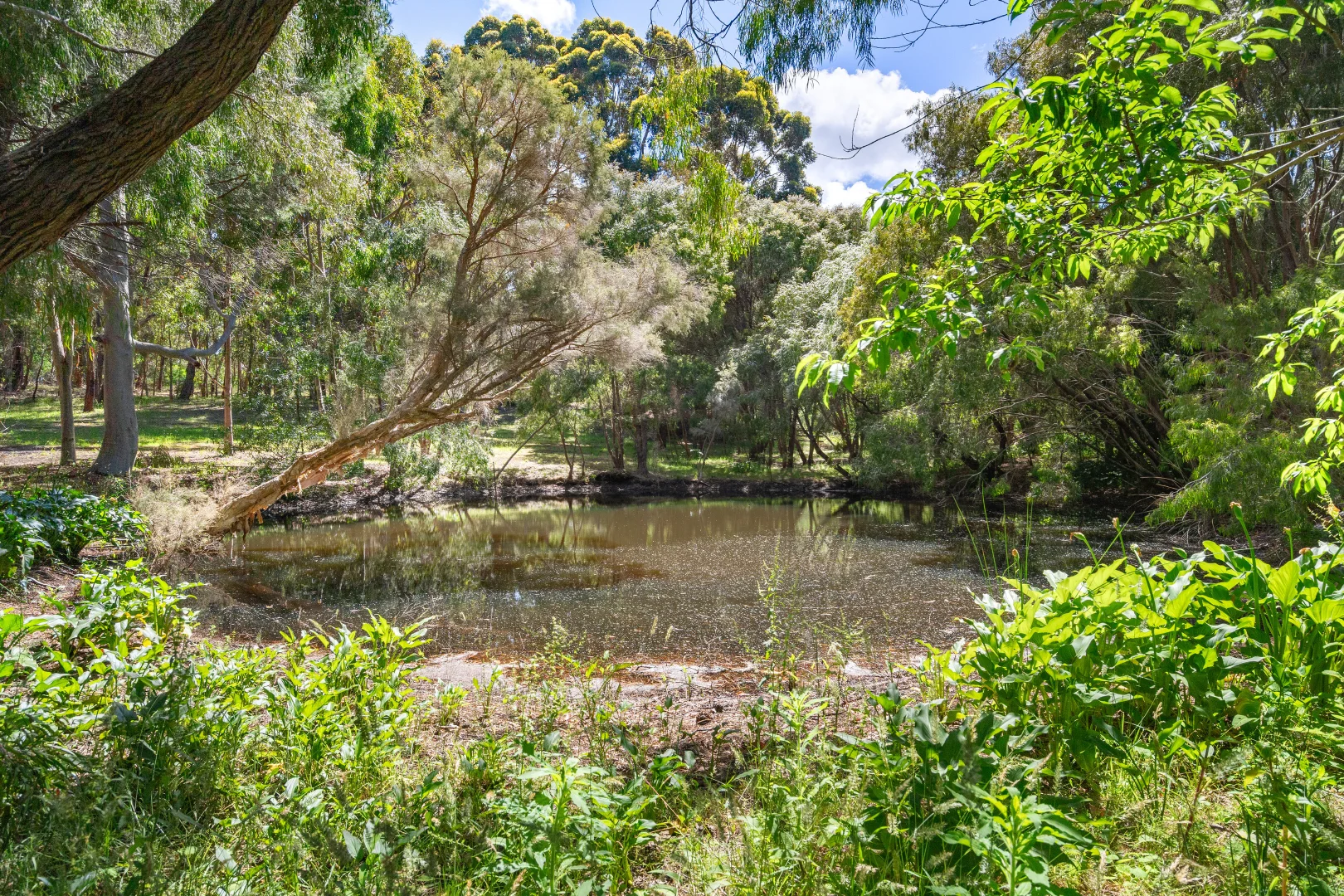 Additional image 31 of 1 Timor Place, Margaret River WA 6285