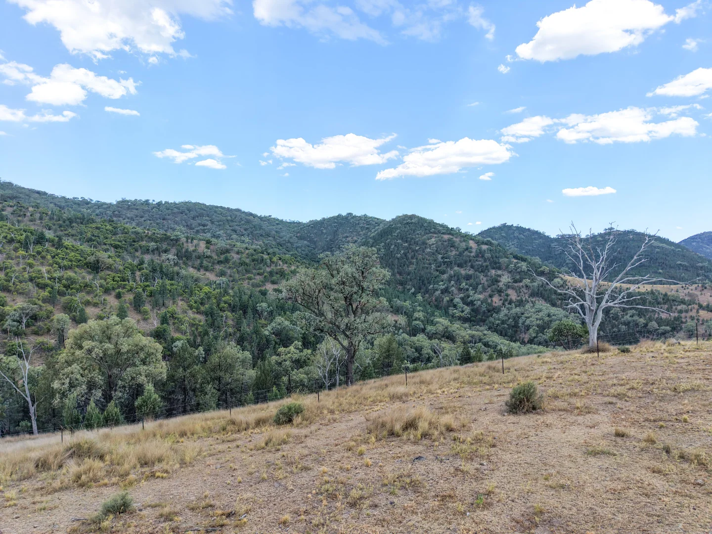 Additional image 17 of Lot 21 Gibraltar Road, Tenterfield NSW 2372