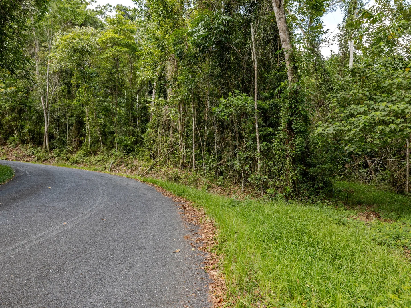 Additional image 6 of 388 Finlayvale Road, Finlayvale QLD 4873