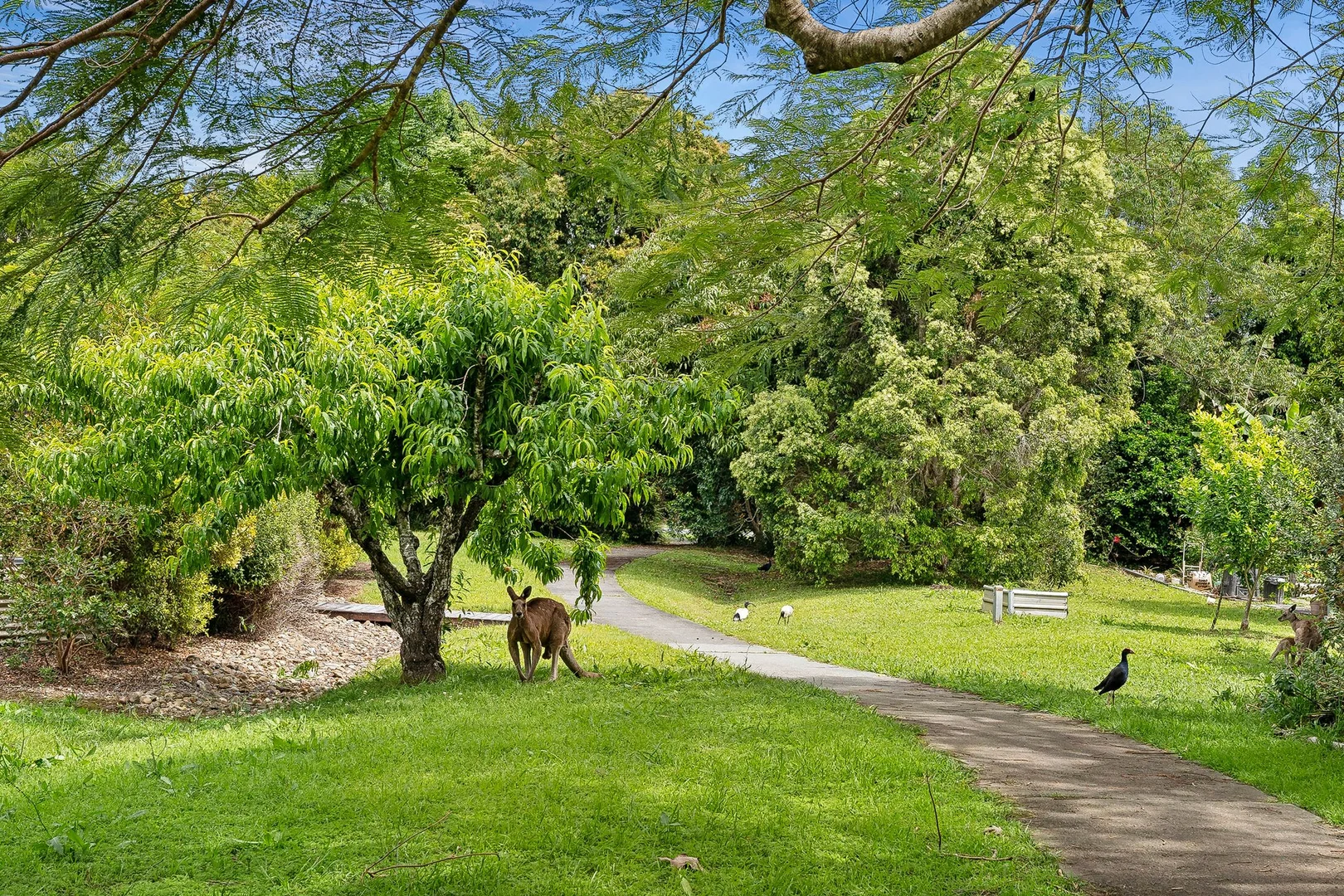 Additional image 8 of 8 Creek Way, Currumbin Valley QLD 4223