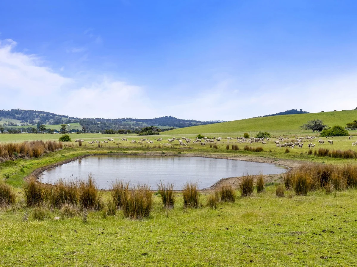Additional image 8 of Leprena Road, Orielton TAS 7172