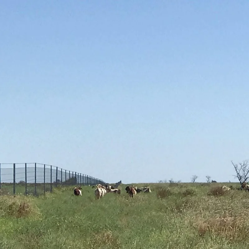 Additional image 22 of 1970 Saltern Creek Road, Barcaldine QLD 4725