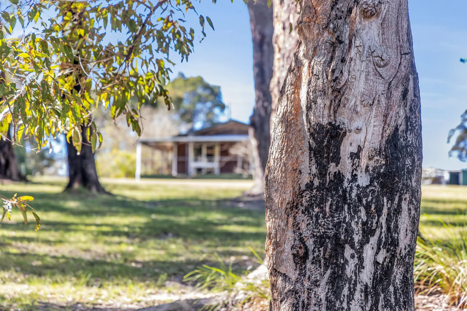 Additional image 19 of 3 Sylvia Court, Mallacoota VIC 3892