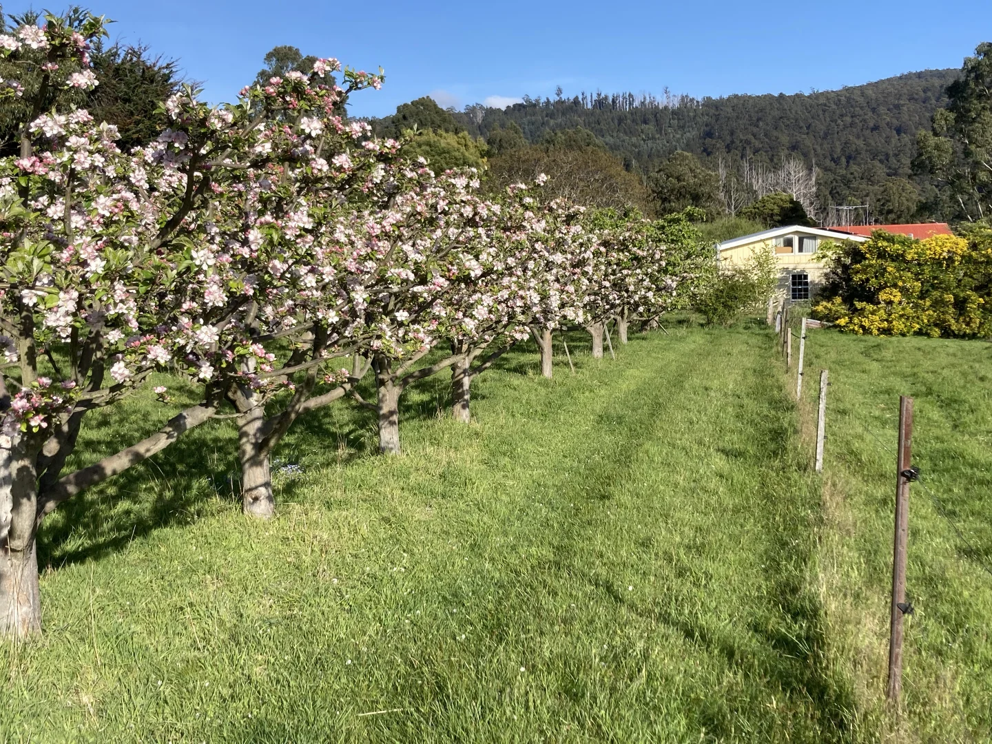 Additional image 19 of 59 Chittys Road, Franklin TAS 7113