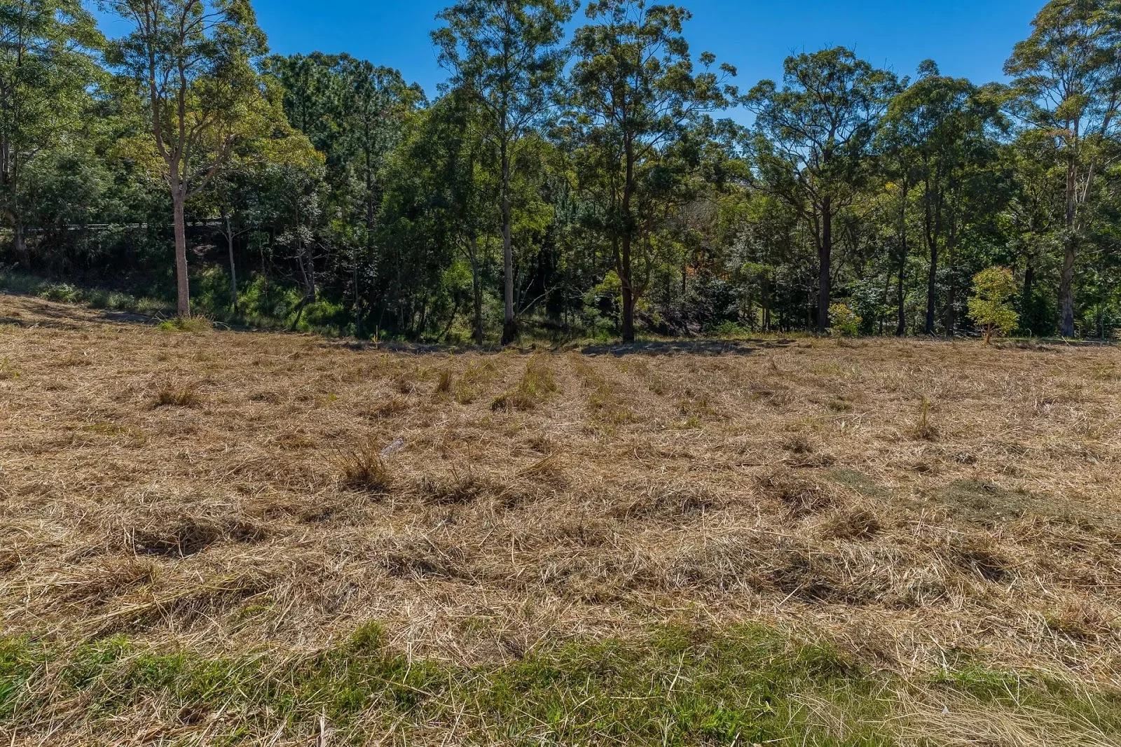 Additional image 4 of 612-618 Henri Robert Drive, Tamborine Mountain QLD 4272