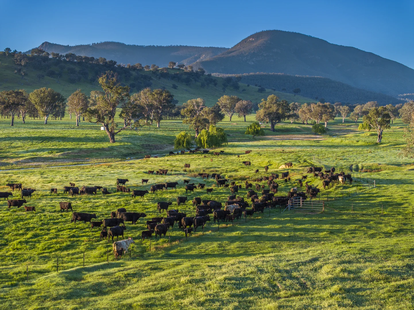 Additional image 22 of 3091 Shelley Road, Walwa VIC 3709