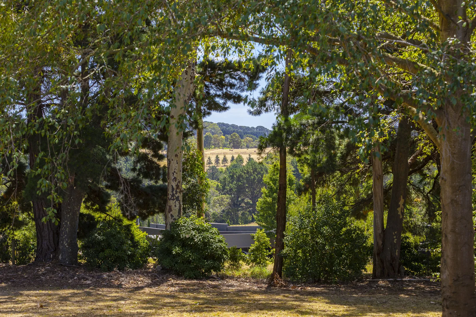 Additional image 7 of 100 Stanleys Road, Red Hill South VIC 3937