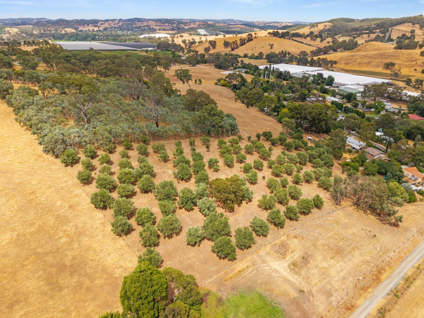 Additional image 11 of 226 Forreston Road, Forreston SA 5233