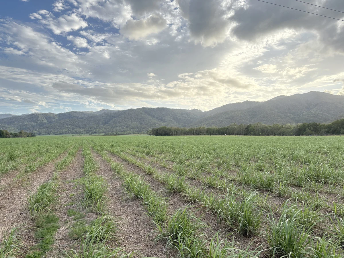 Additional image 3 of 2 Sievers Road, Oakenden QLD 4741