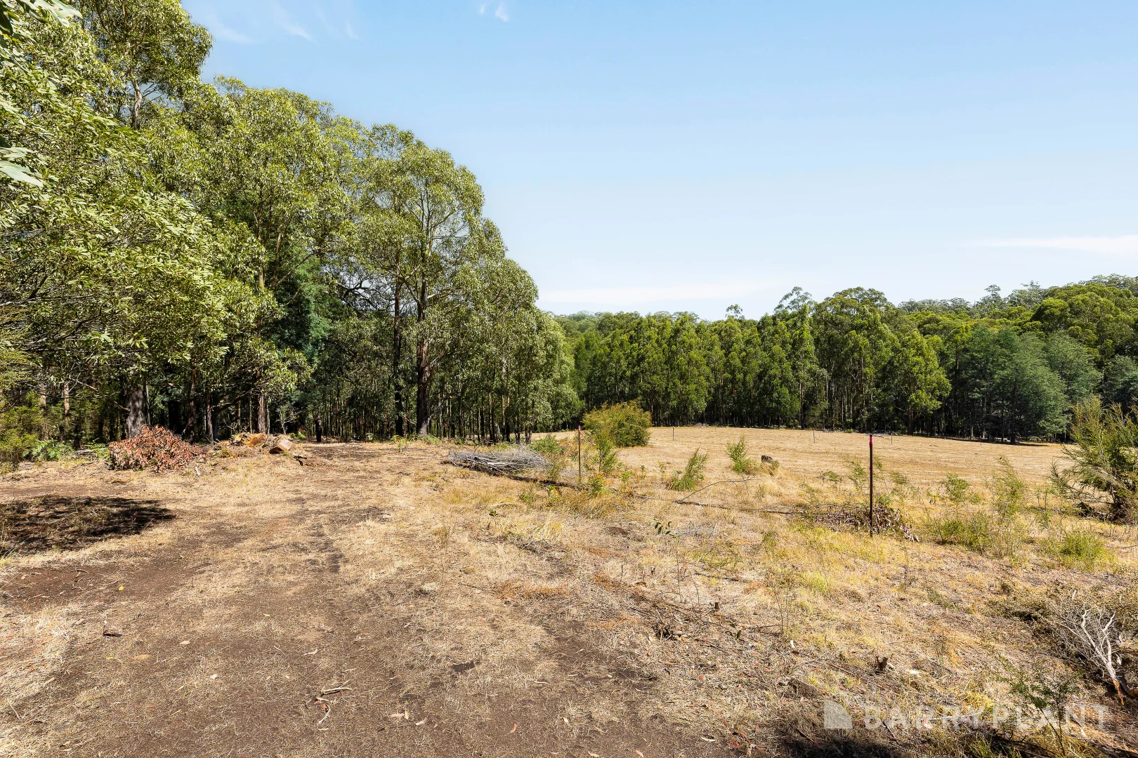 Additional image 5 of 39 Howard Road, Kinglake VIC 3763