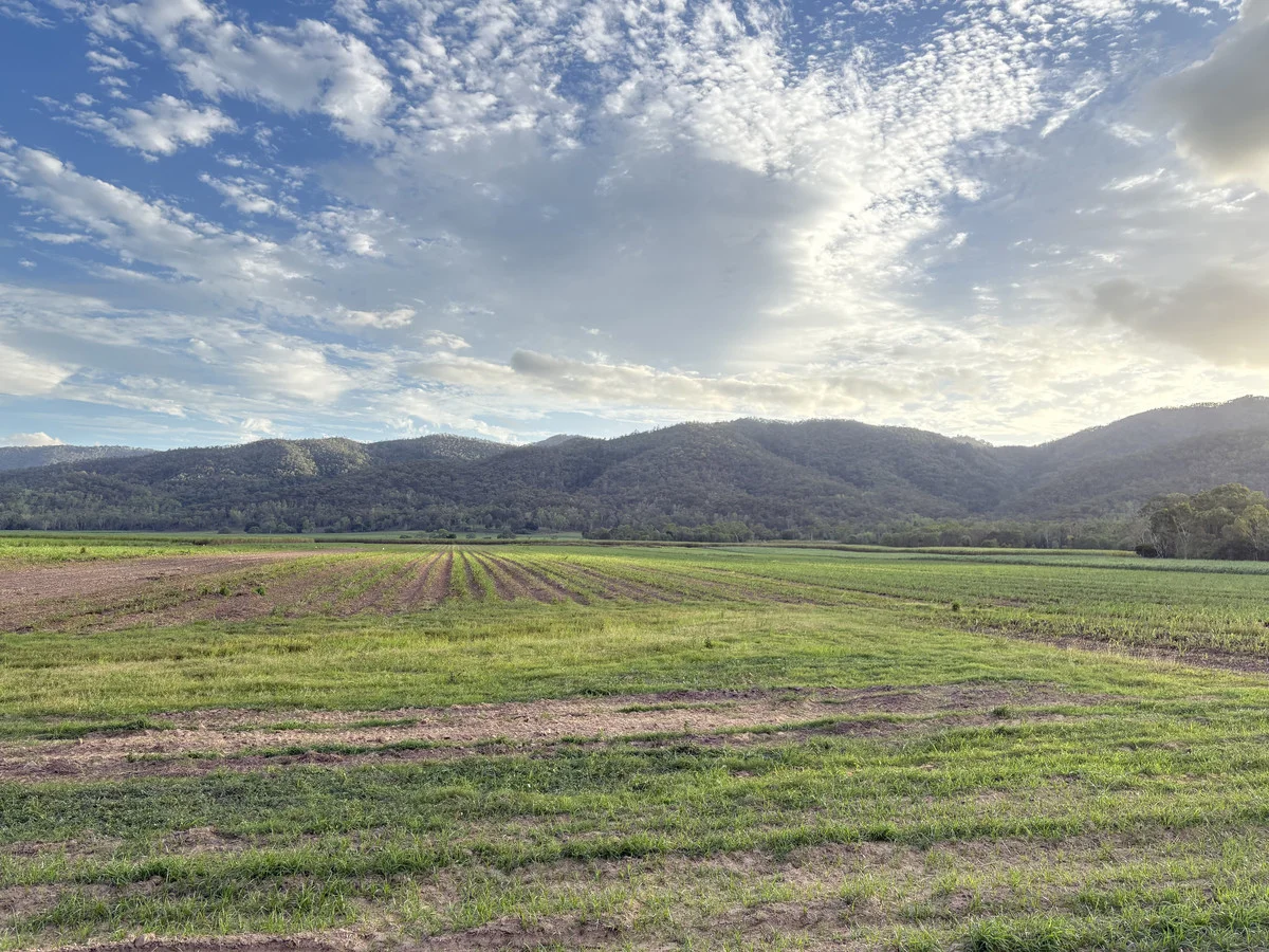 Additional image 9 of 2 Sievers Road, Oakenden QLD 4741