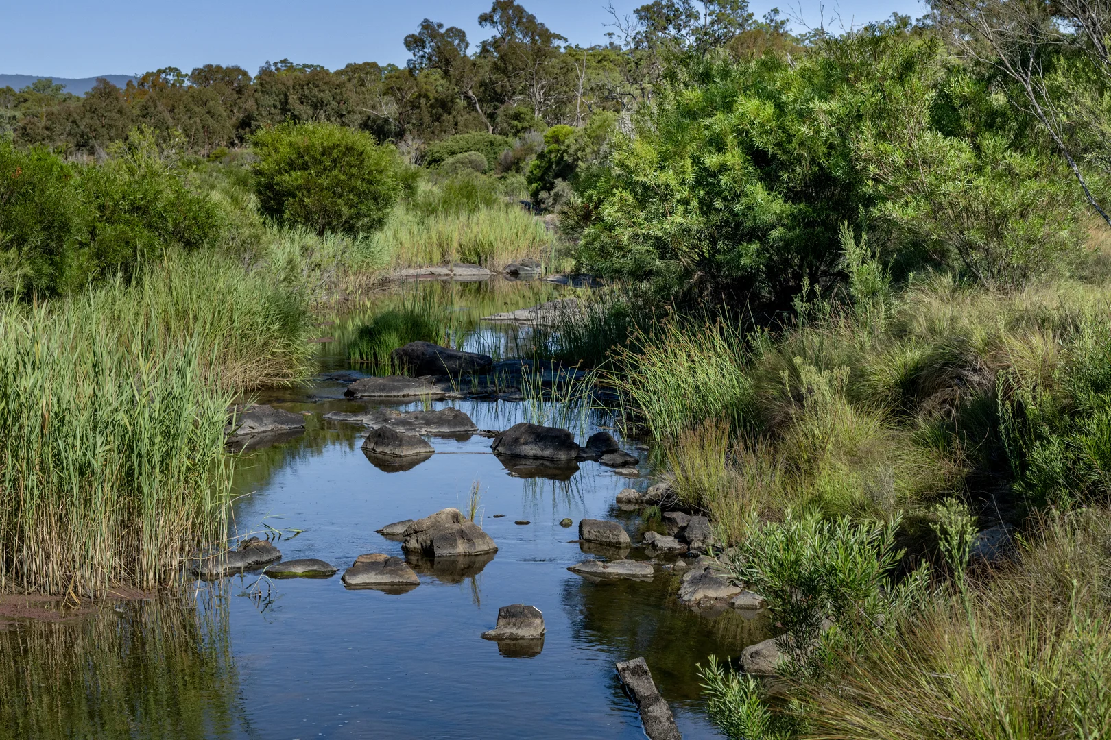 Additional image 21 of 1166 New England Highway, Tenterfield NSW 2372