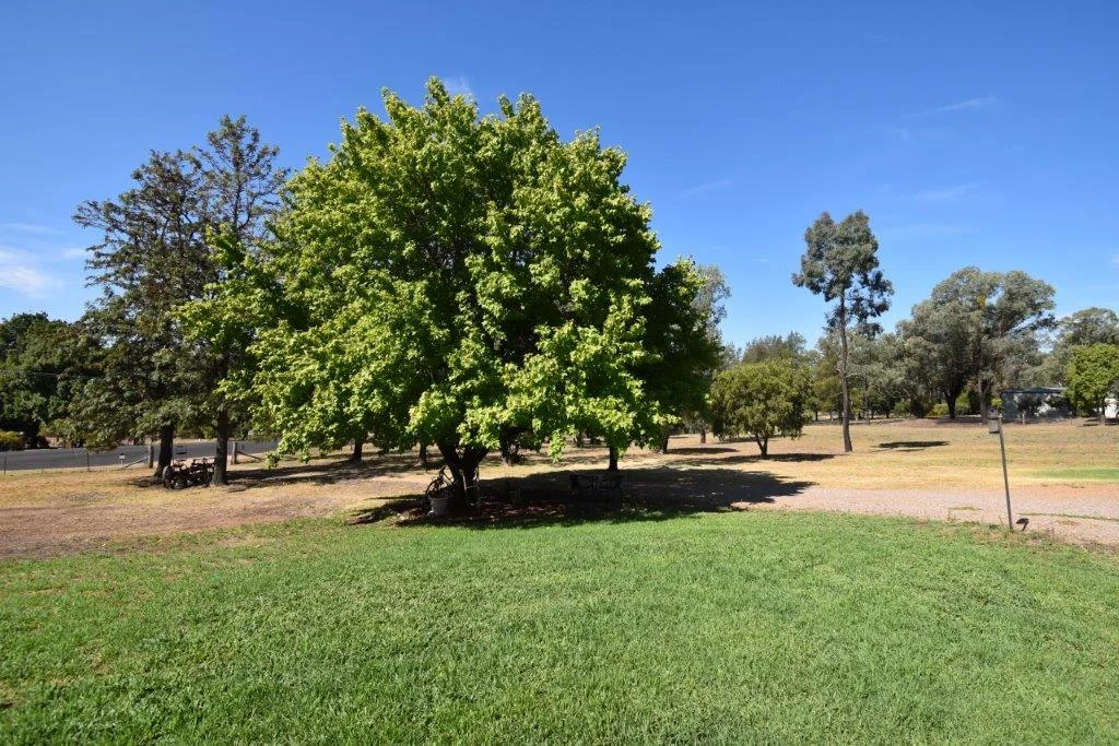 Additional image 16 of 37 Gould League Place, Wellington NSW 2820