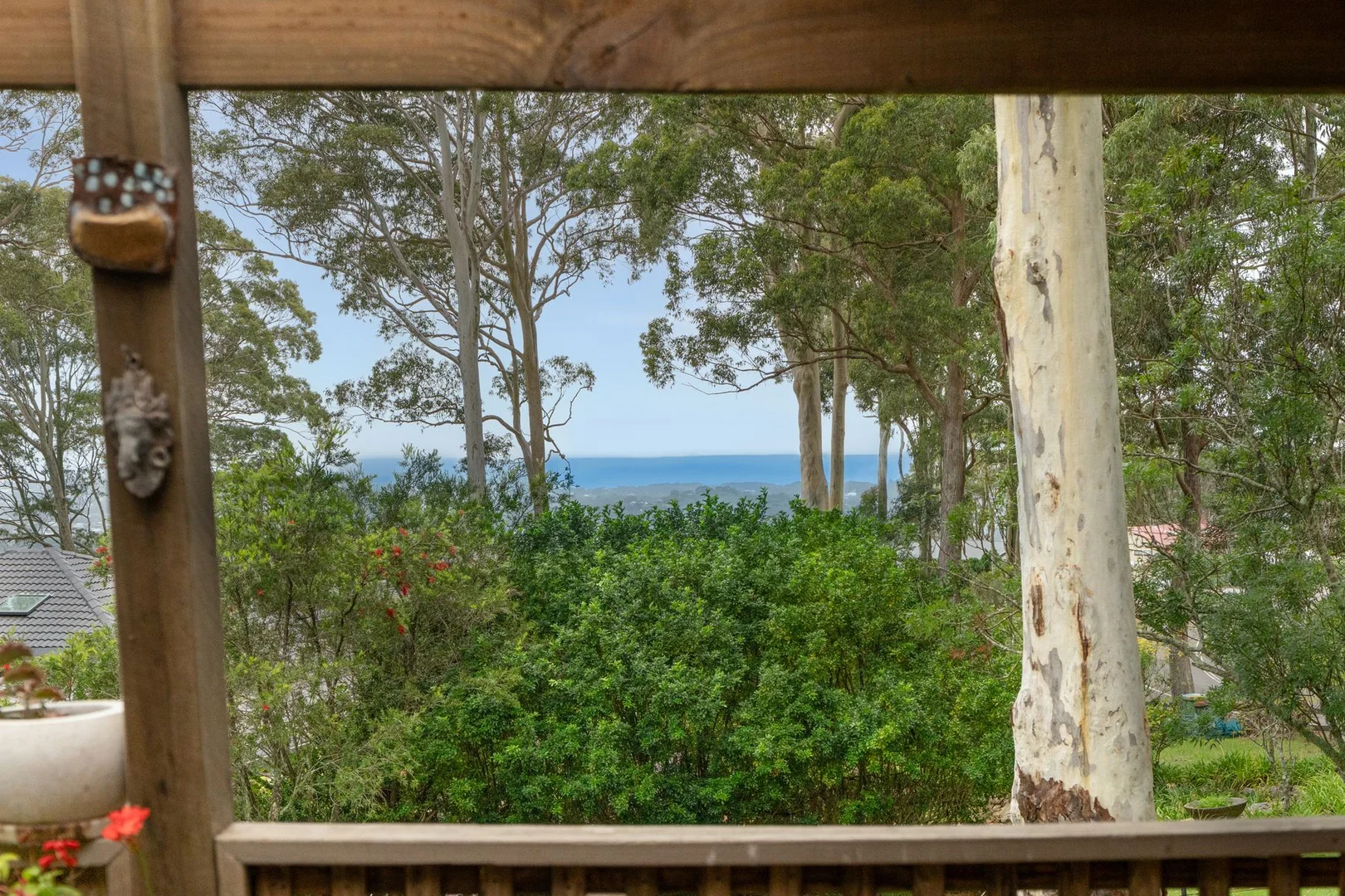 Additional image 23 of 675 The Ridgeway, Tumbi Umbi NSW 2261