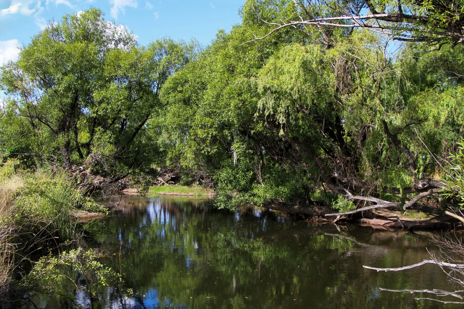 Additional image 6 of 149 Chinamans Lane, Goulburn NSW 2580