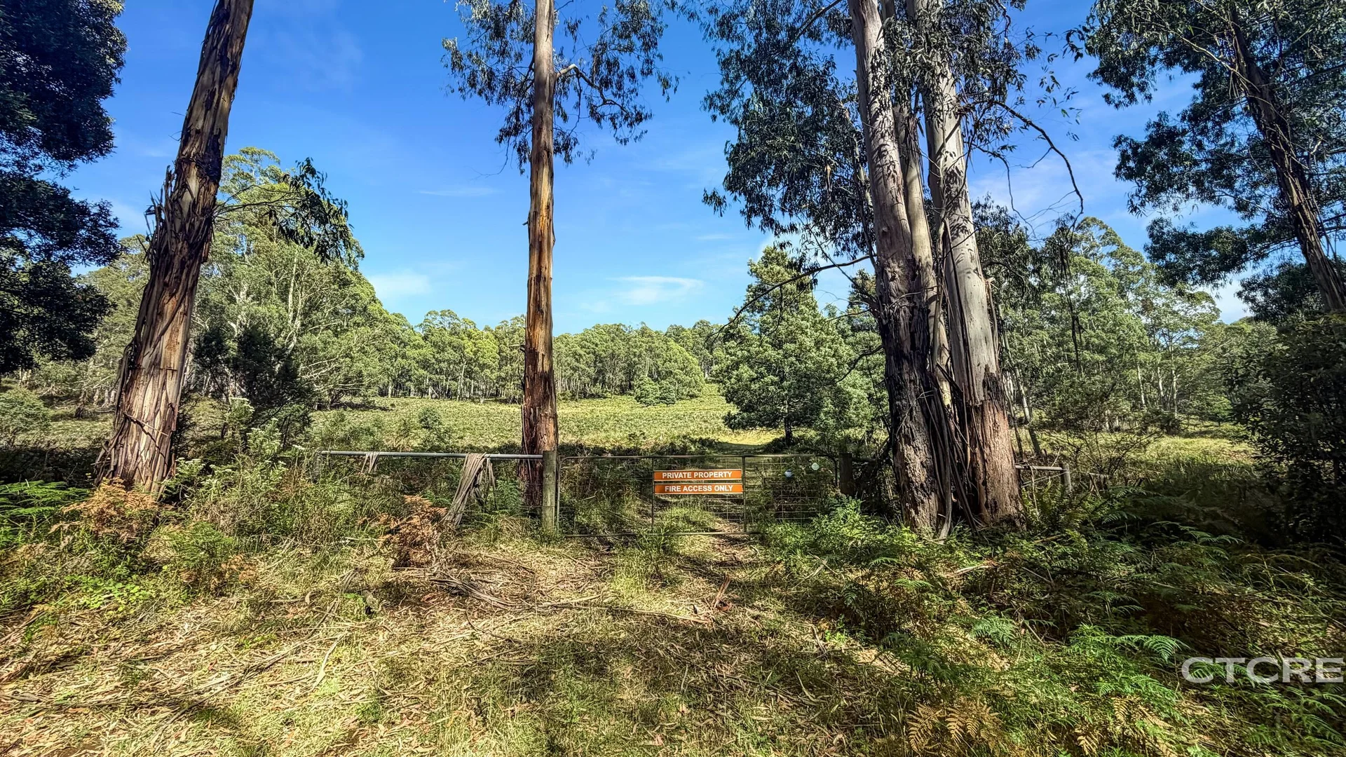 Additional image 17 of 12F & 12G Minchins Track, Bonang VIC 3888