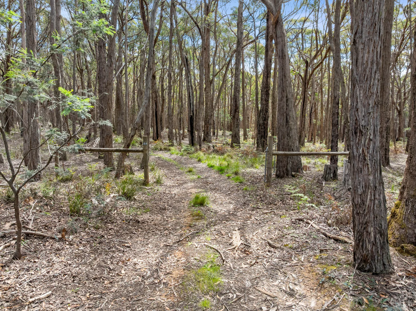 Additional image 8 of 184 Tori's Road, Glenlyon VIC 3461