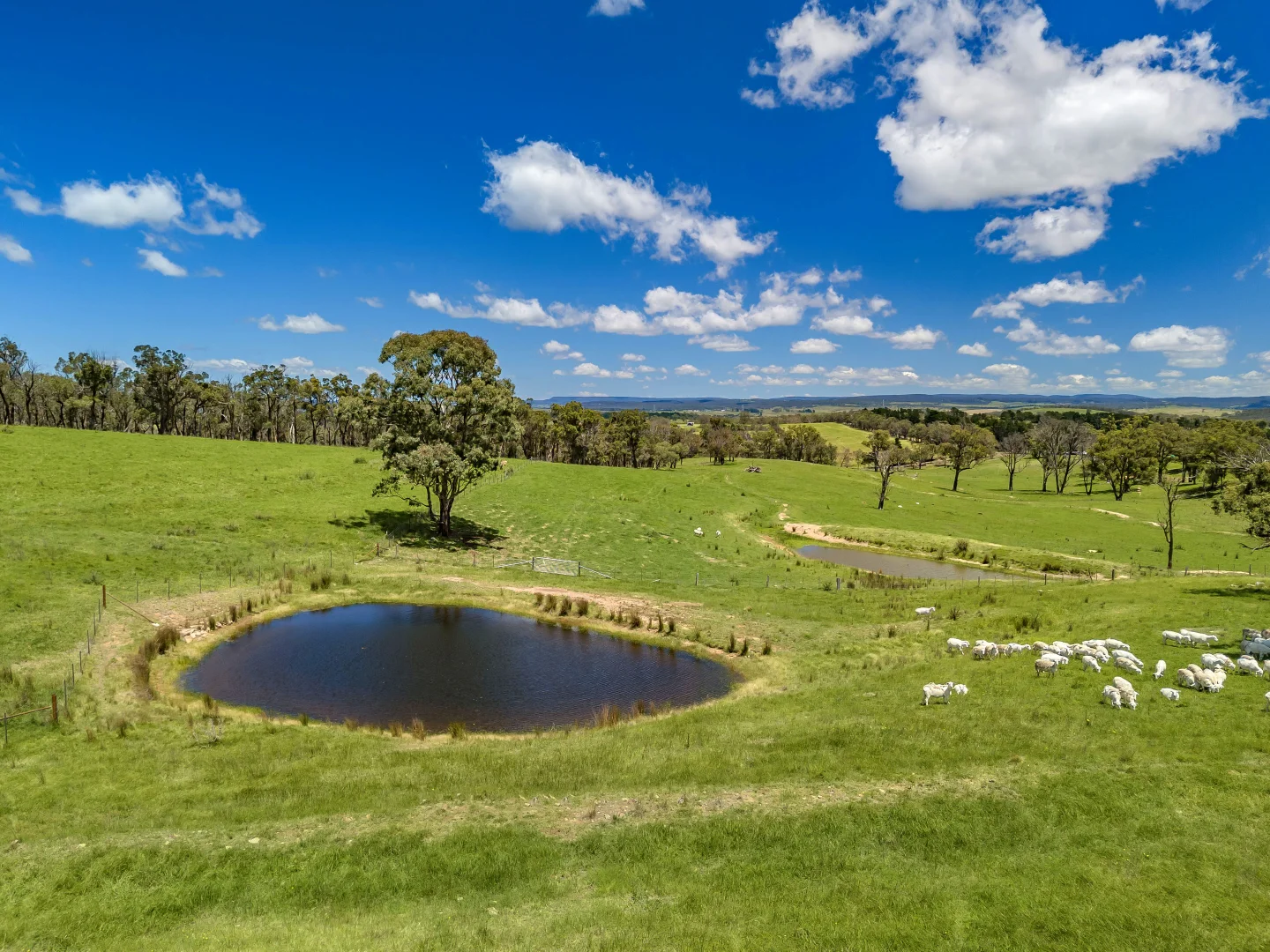 Additional image 27 of 1777 Canyonleigh Road, Canyonleigh NSW 2577