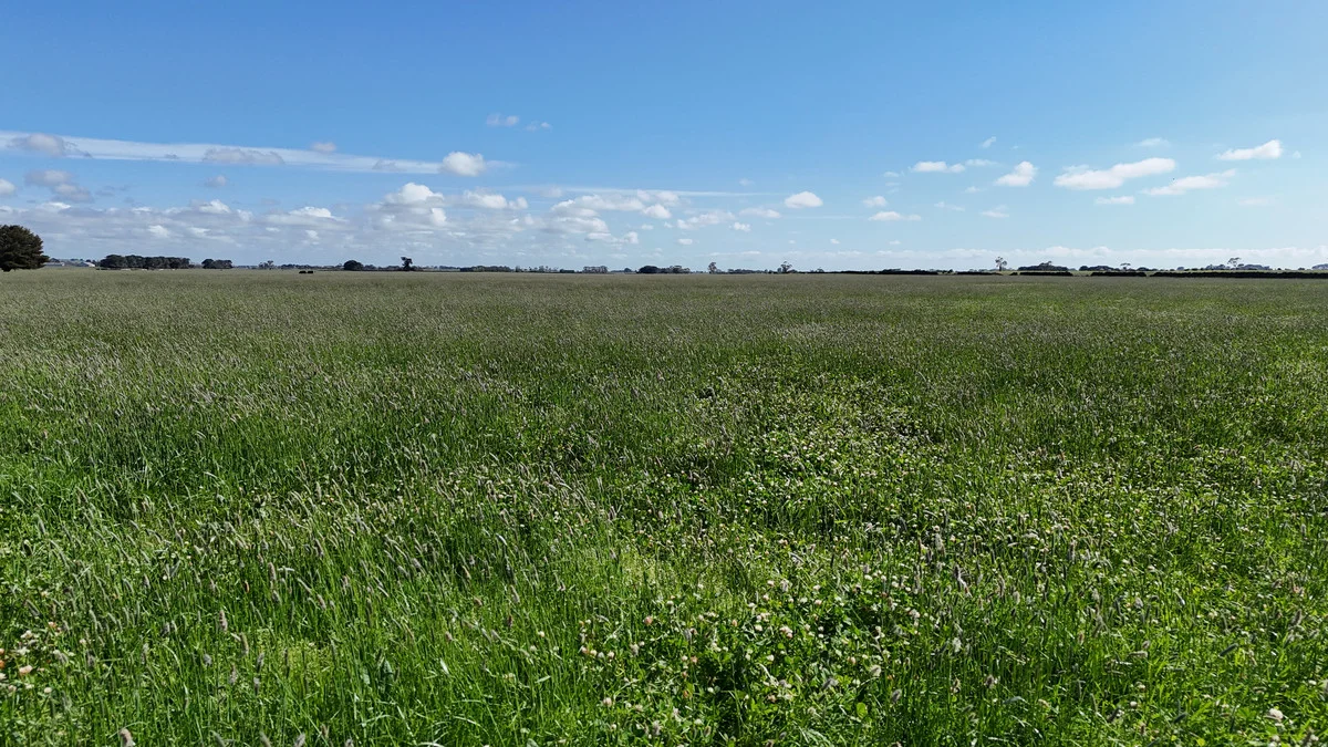 Additional image 3 of 61 Purrumbete Estate Road, Koallah VIC 3260