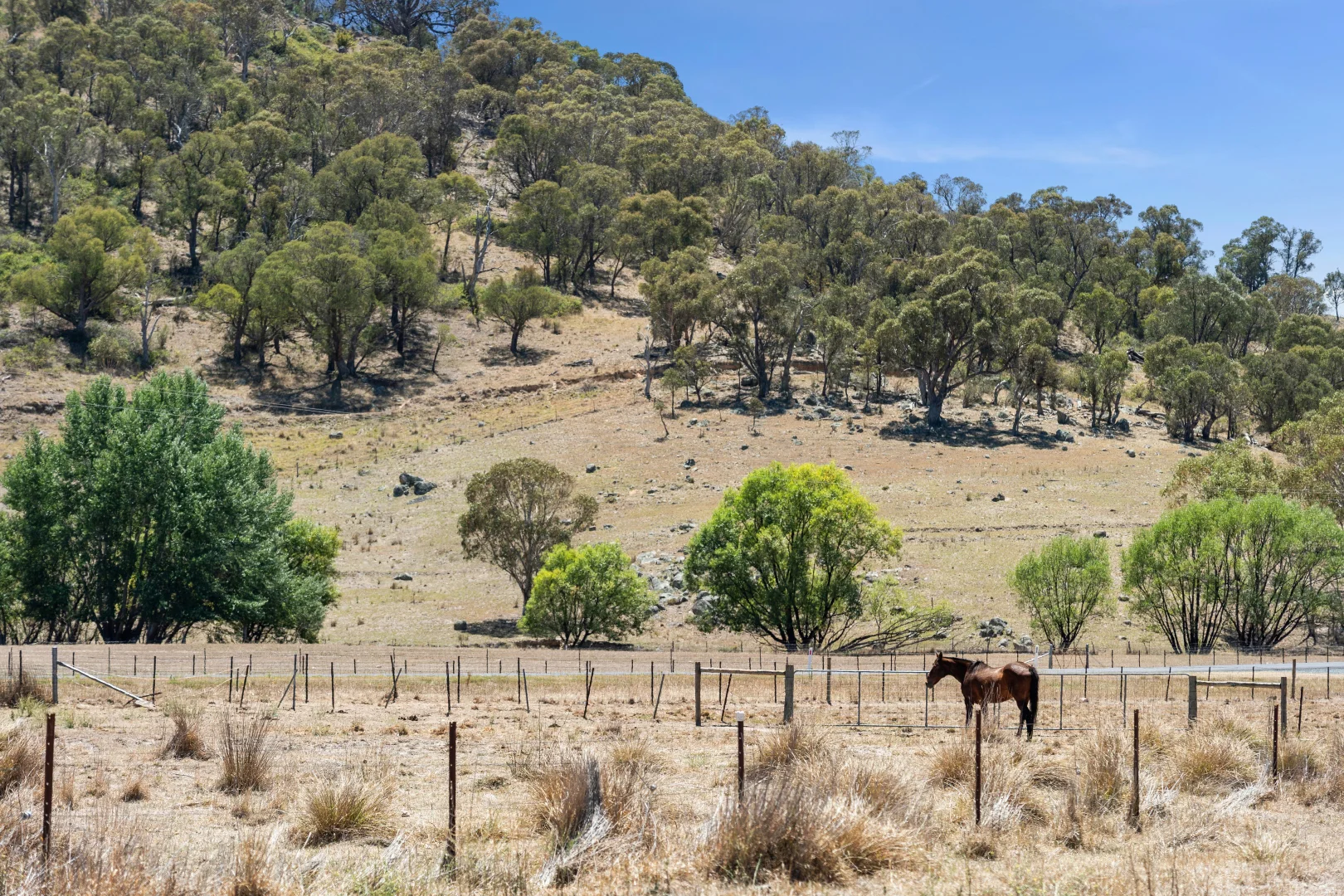 Additional image 40 of 203 Williamsdale Road, Burra NSW 2620