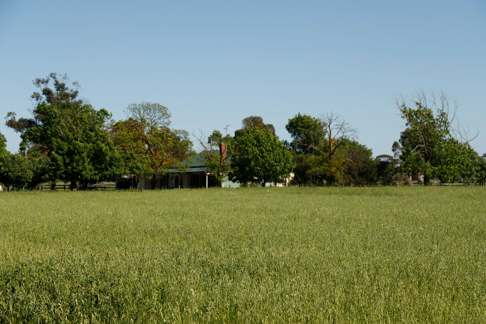 Additional image 22 of 4760 Midland Highway, Tatura VIC 3616