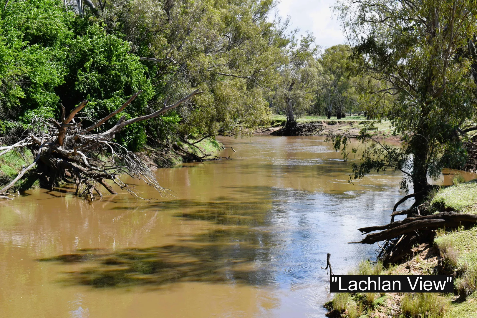 Additional image 4 of 01 Bedgerabong Road, Forbes NSW 2871