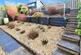 Additional image 16 of Highfield Rise, Shrewton, SP3 4DZ