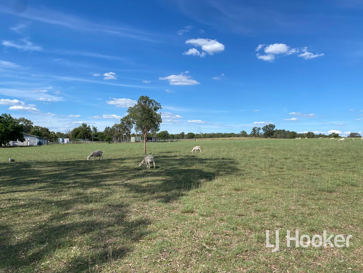 Additional image 4 of 1223 Karoola Road, Inverell NSW 2360