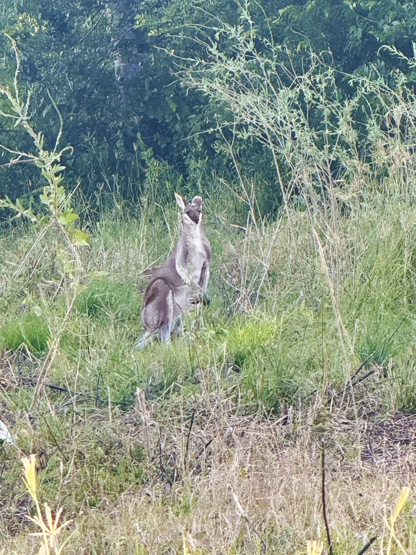 Additional image 13 of Burnett Highway, Goomeri QLD 4601