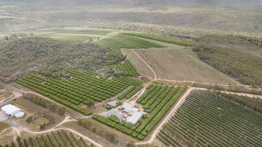 Additional image 4 of 1151 Leafgold Weir Road, Dimbulah QLD 4872