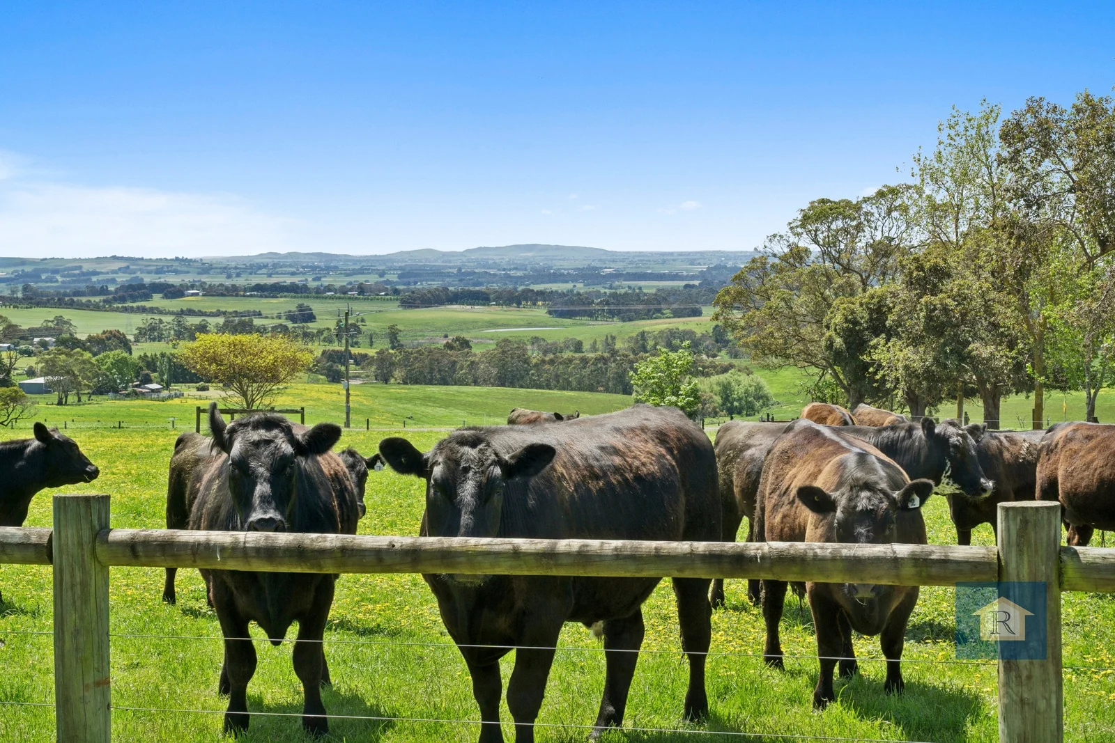 Additional image 20 of 60 Forans Road, Barongarook West VIC 3249