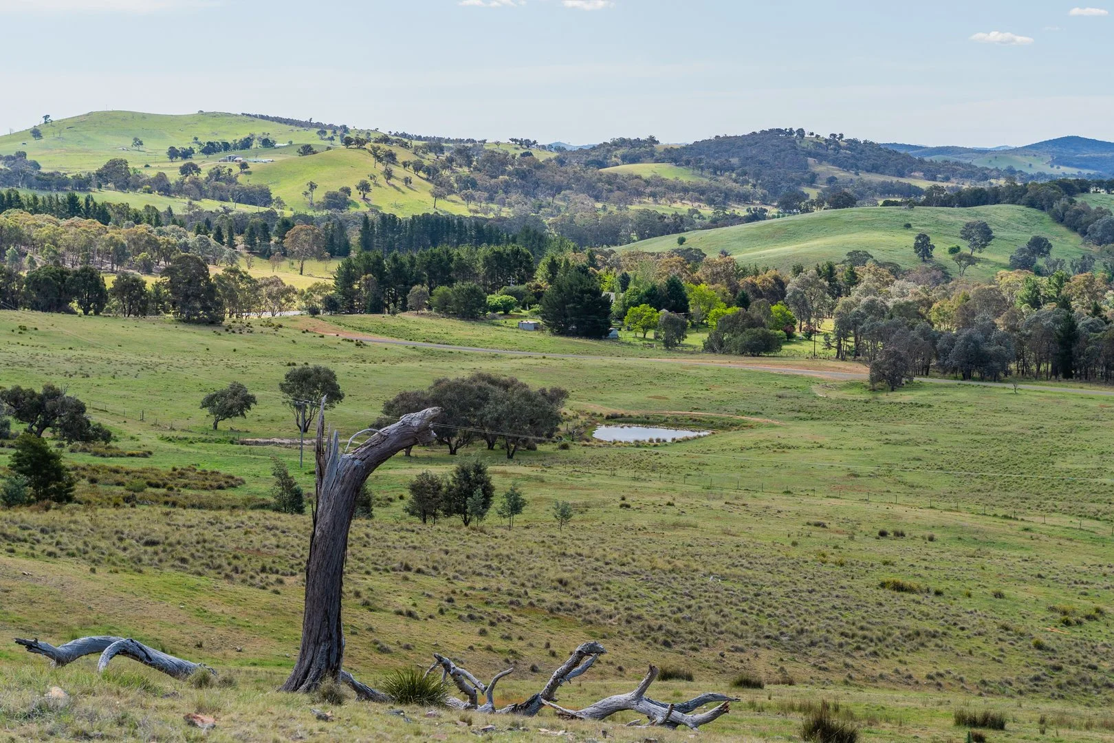 Additional image 5 of Lot 2 838 Murrumbateman Road, Nanima NSW 2582