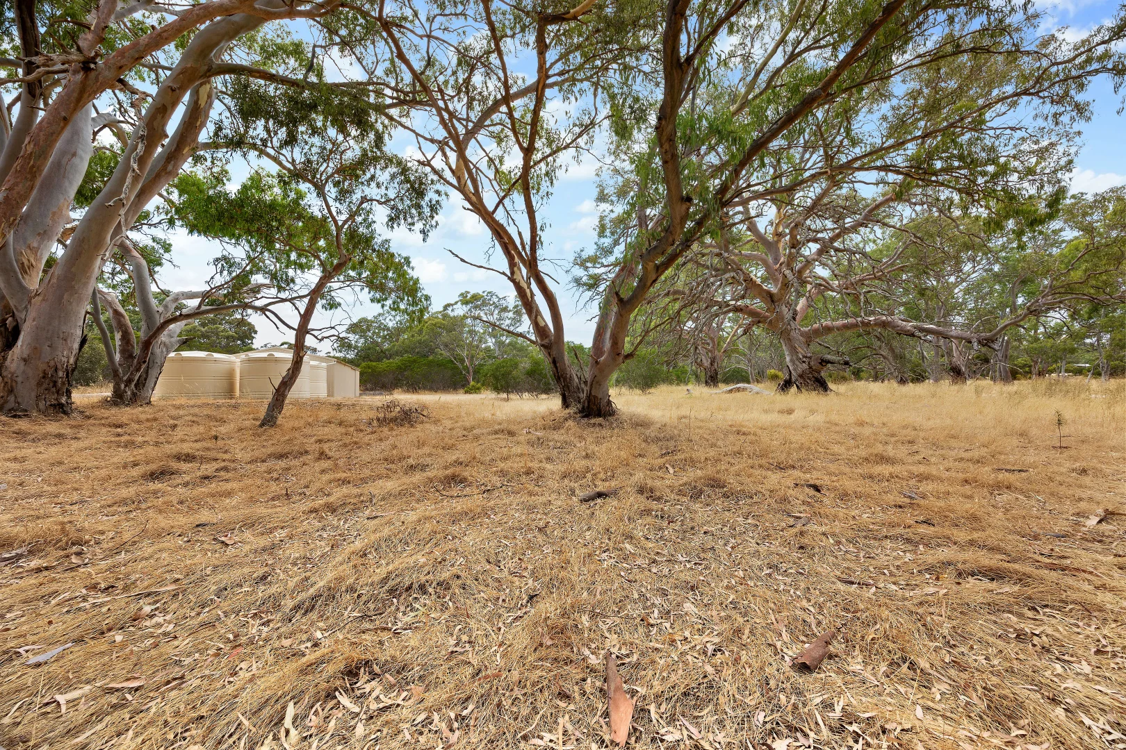 Additional image 18 of 112 Red Gum Road, Coulta SA 5607