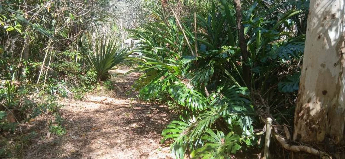 Additional image 7 of 1 Top End Mines Road, Torbanlea QLD 4662