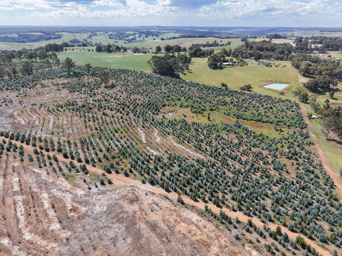 Additional image 6 of Lot 1251 Peninsula Road, Bridgetown WA 6255