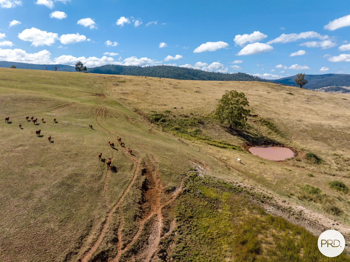 Additional image 56 of 1100 Batlow Road, Tumbarumba NSW 2653