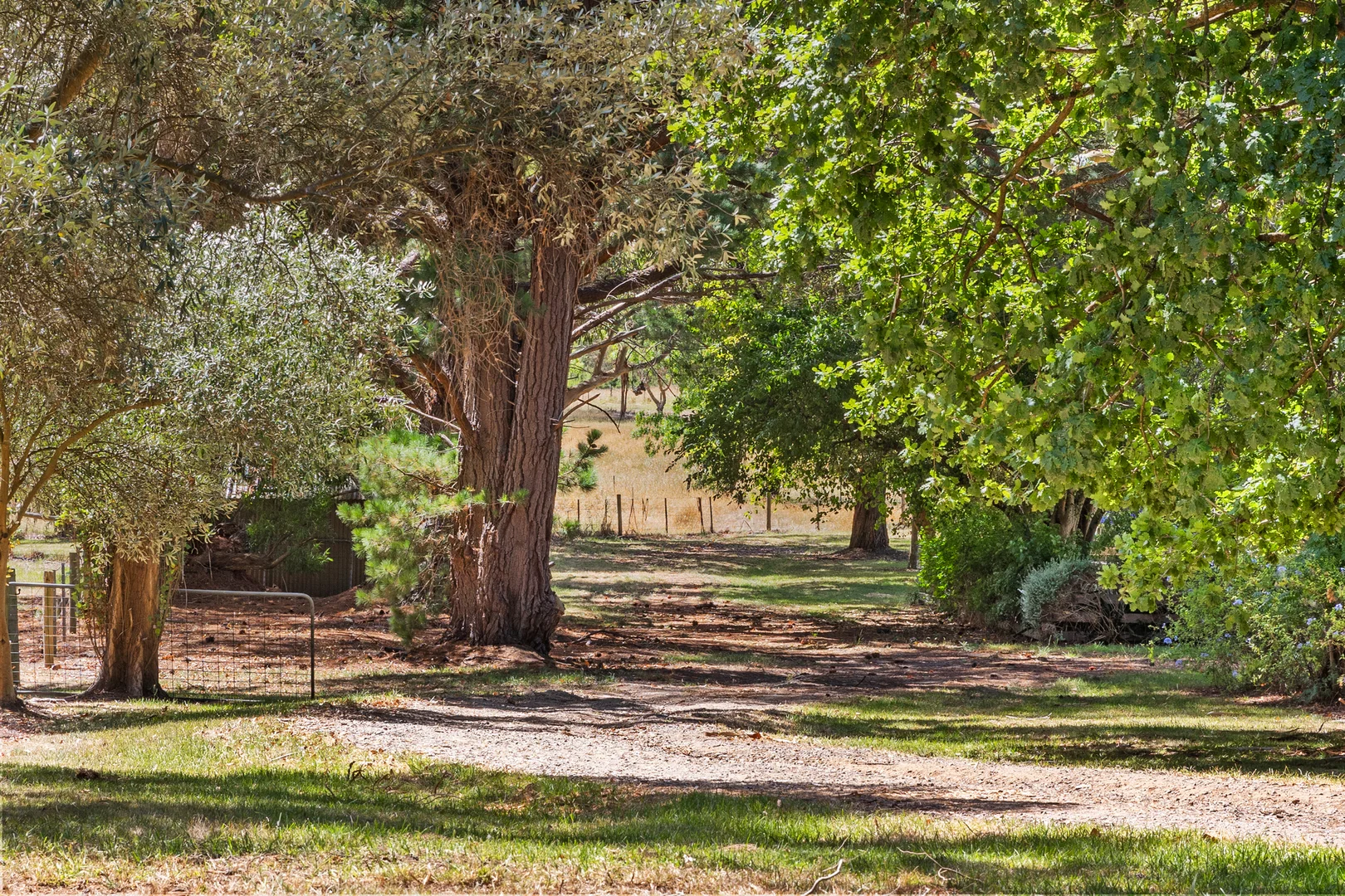 Additional image 15 of 3650 Frankston Flinders Road, Merricks VIC 3916