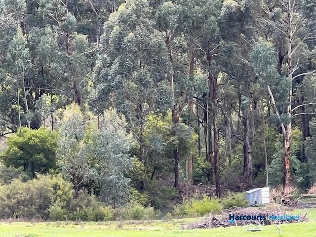 Additional image 20 of 46 Buckley Road, Carlotta WA 6275