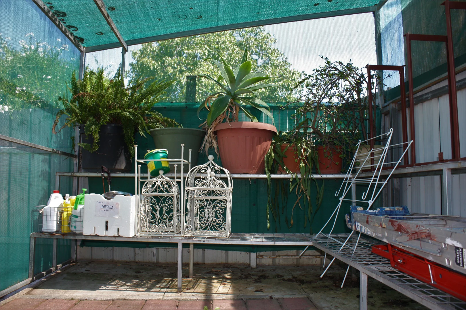 Additional image 17 of 4/188 Indigo Court, Rutherglen VIC 3685