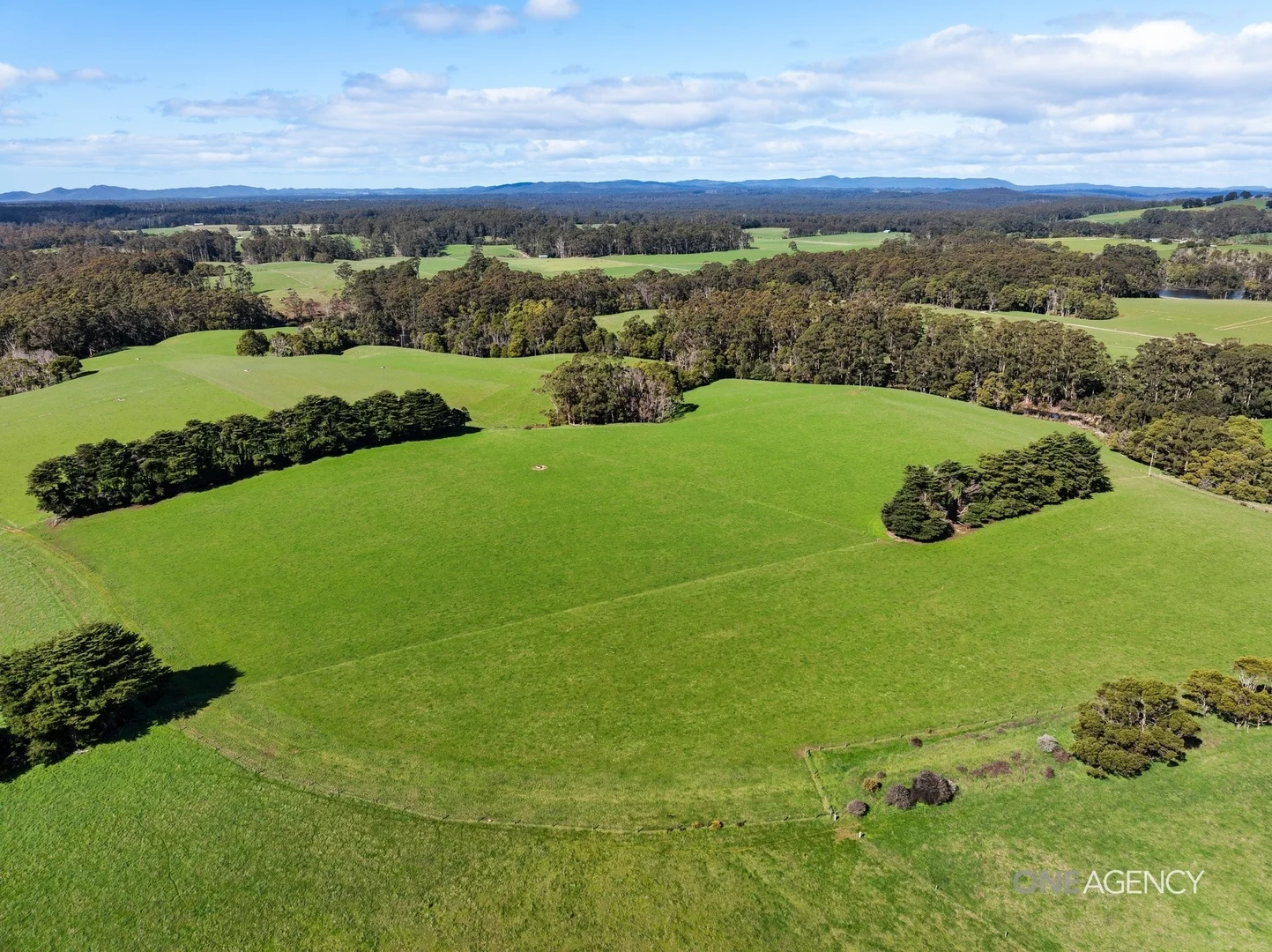 Additional image 5 of 206 Murrays Lane, South Forest TAS 7330