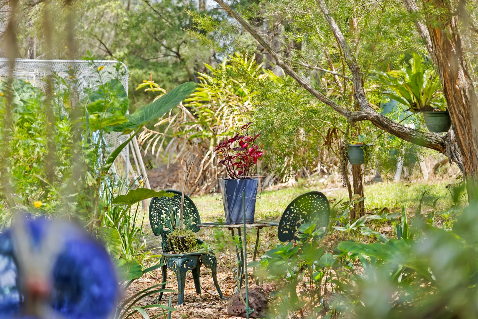 Additional image 20 of 1249 Congo Road, Moruya NSW 2537