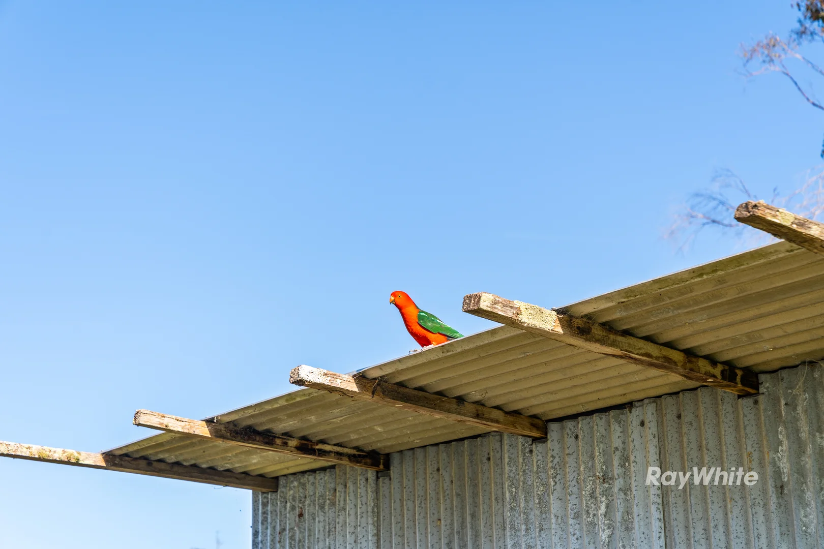 Additional image 20 of 56 Eurobodalla Road, Bodalla NSW 2545